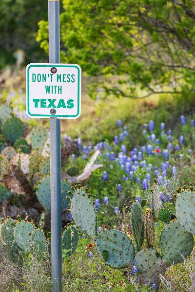 Wilson, Emily M. 아티스트의 Llano-Texas-USA-Dont Mess With Texas sign in the hill country작품입니다.
